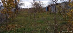 Вигідна пропозиція для переселенців, можлива іпотека, продаж будинку в Новоселівці фото 6